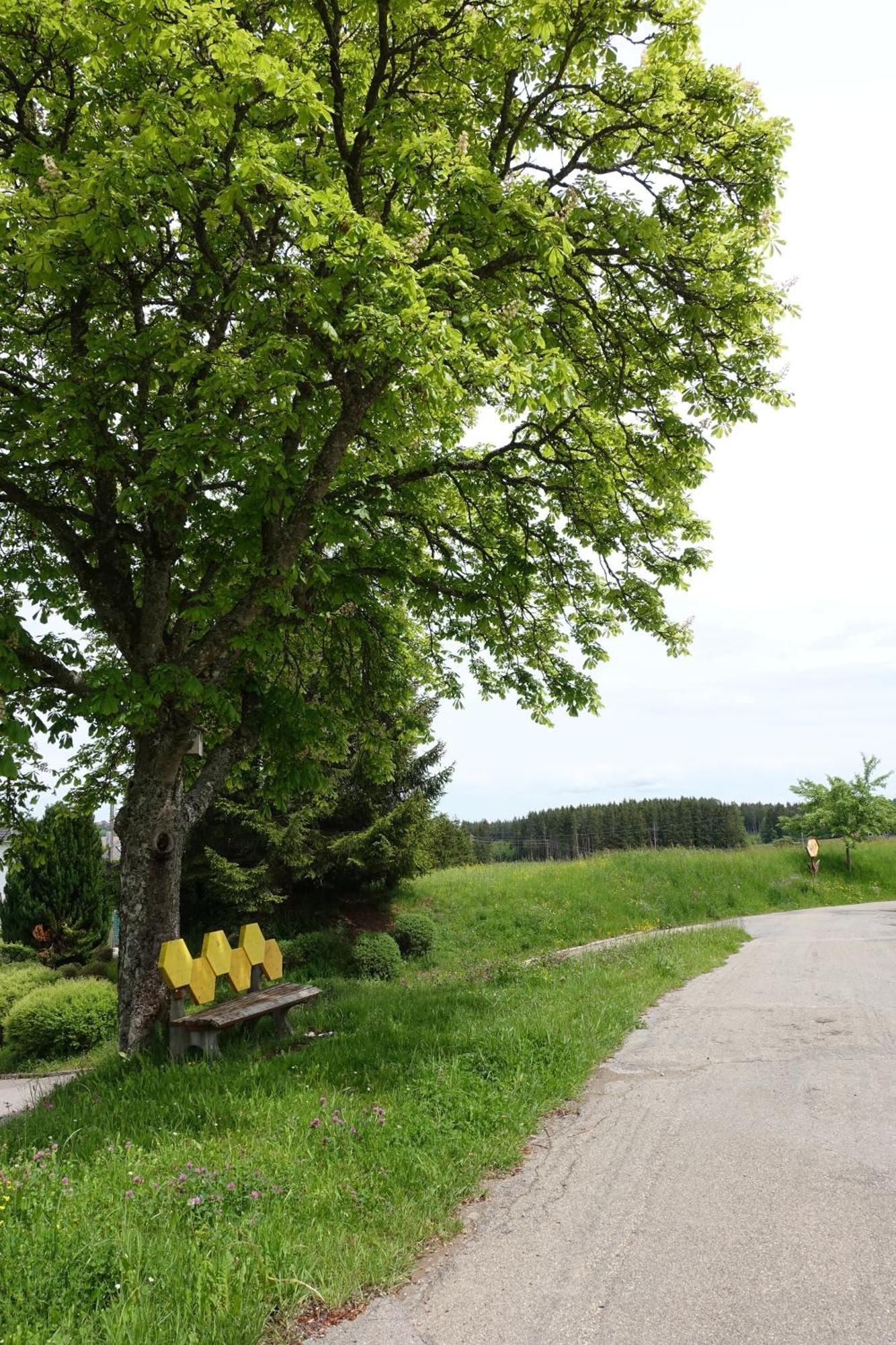 Blick In Den Garten Holzschlag Exterior photo